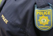 60 criminal cases struck off court roll due to ‘police inefficiencies’, Western Cape government claims 60 criminal cases struck off court roll due to 'police inefficiencies', Western Cape government claims