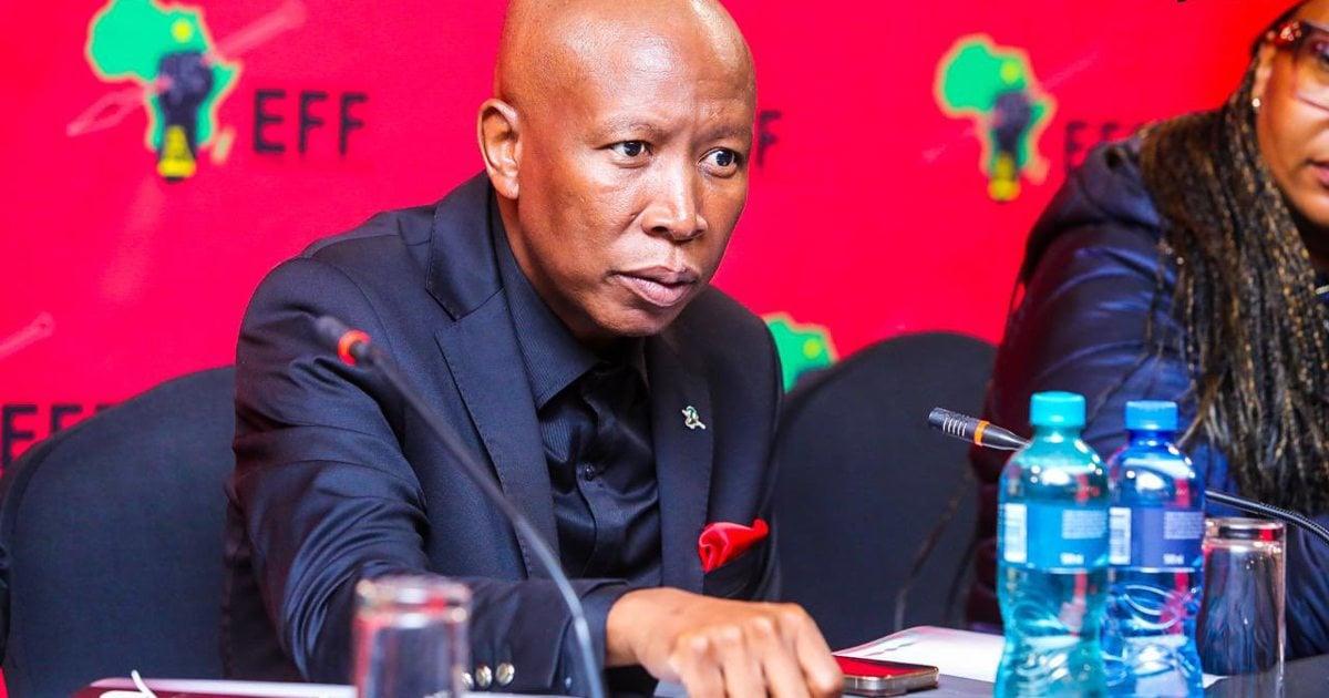 EFF to scrutinise KZN structures after electoral decline in May polls EFF to scrutinise KZN structures after electoral decline in May polls
