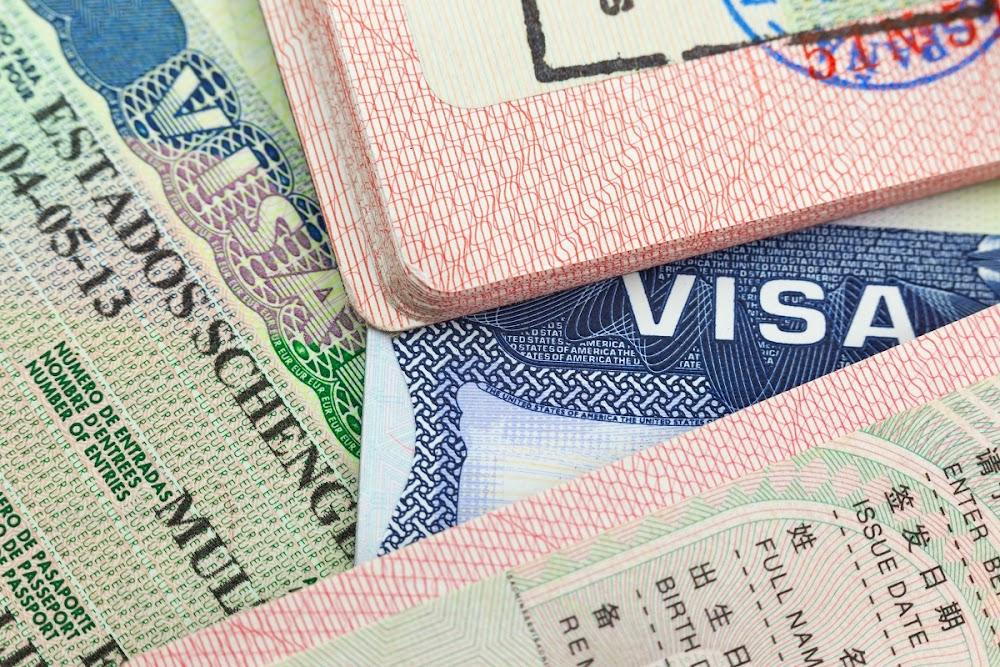 South Africa introducing visa reforms to boost economy, says minister South Africa introducing visa reforms to boost economy, says minister