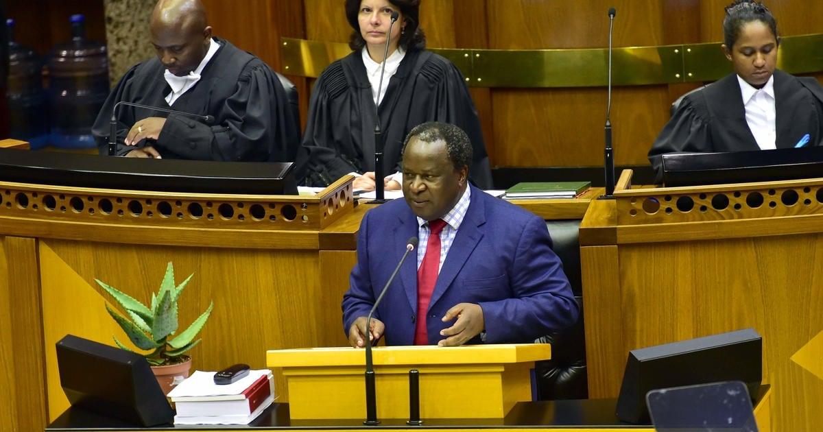 Tito Mboweni's budget speech aloes a reminder of his belief in SA's
