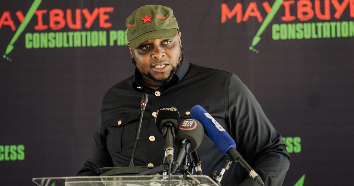 Shivambu Claims Political Homes Can't Solve SA's Issues Shivambu Claims Political Homes Can't Solve SA's Issues