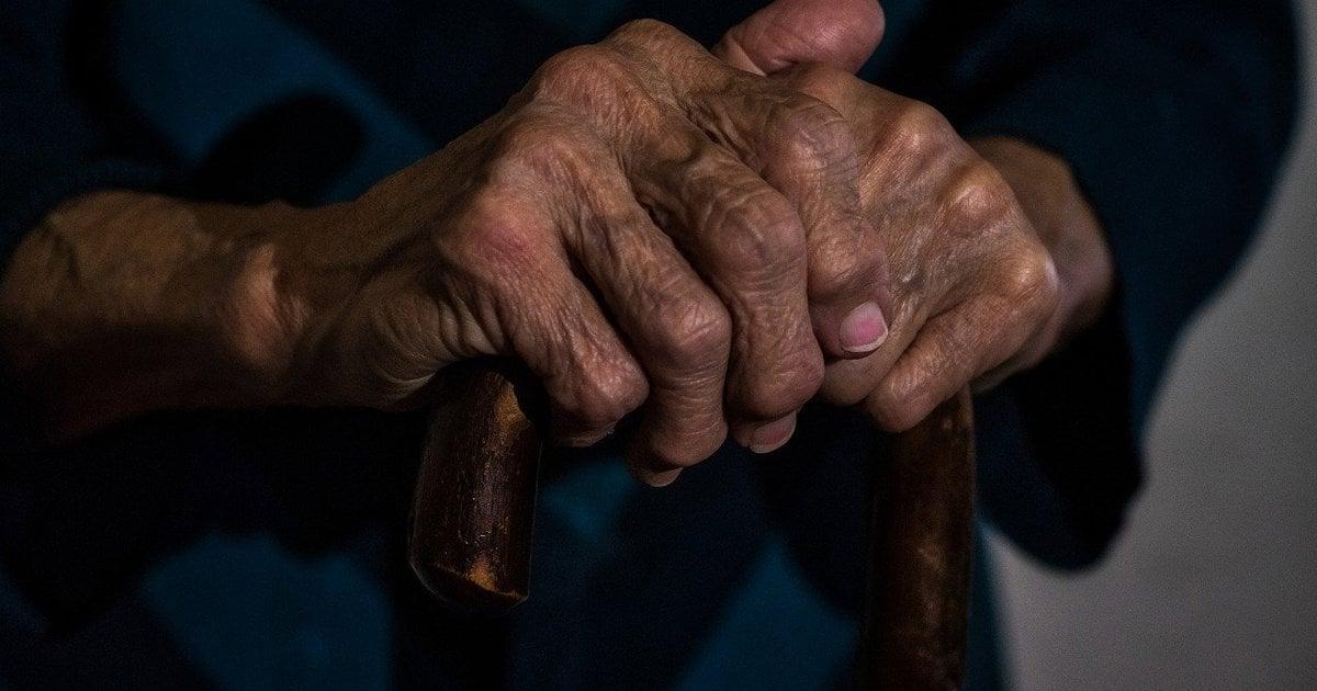 Calls for Increased Protection of the Elderly on Alzheimer's Day Calls for Increased Protection of the Elderly on Alzheimer's Day