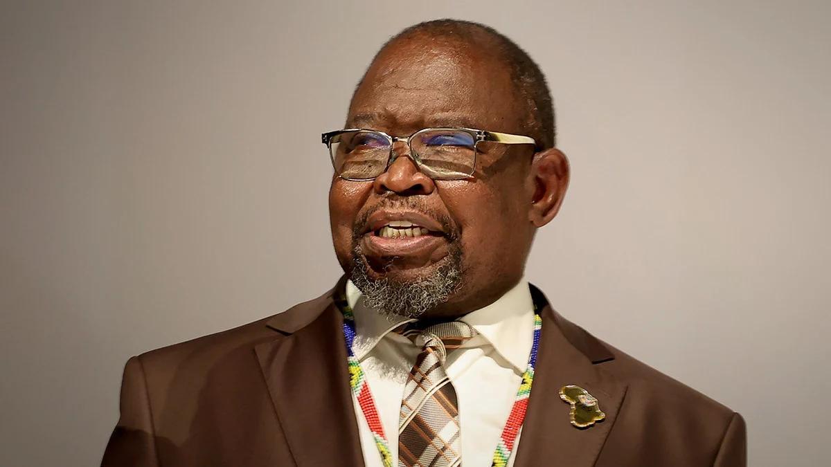Godongwana Warns on Free Public Healthcare in South Africa Godongwana Warns on Free Public Healthcare in South Africa