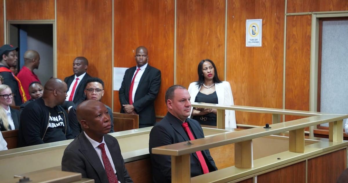 Rights Groups Demand Malema's Removal from Commission Rights Groups Demand Malema's Removal from Commission