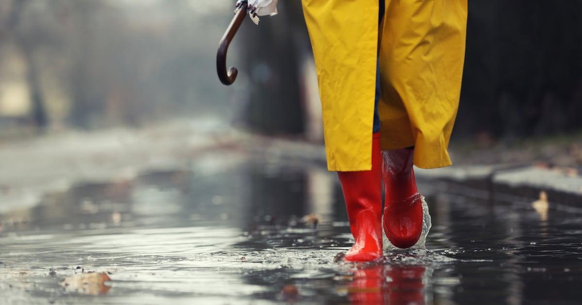 Rain And Thunderstorms Expected In Gauteng Mpumalanga Rain And Thunderstorms Expected In Gauteng Mpumalanga