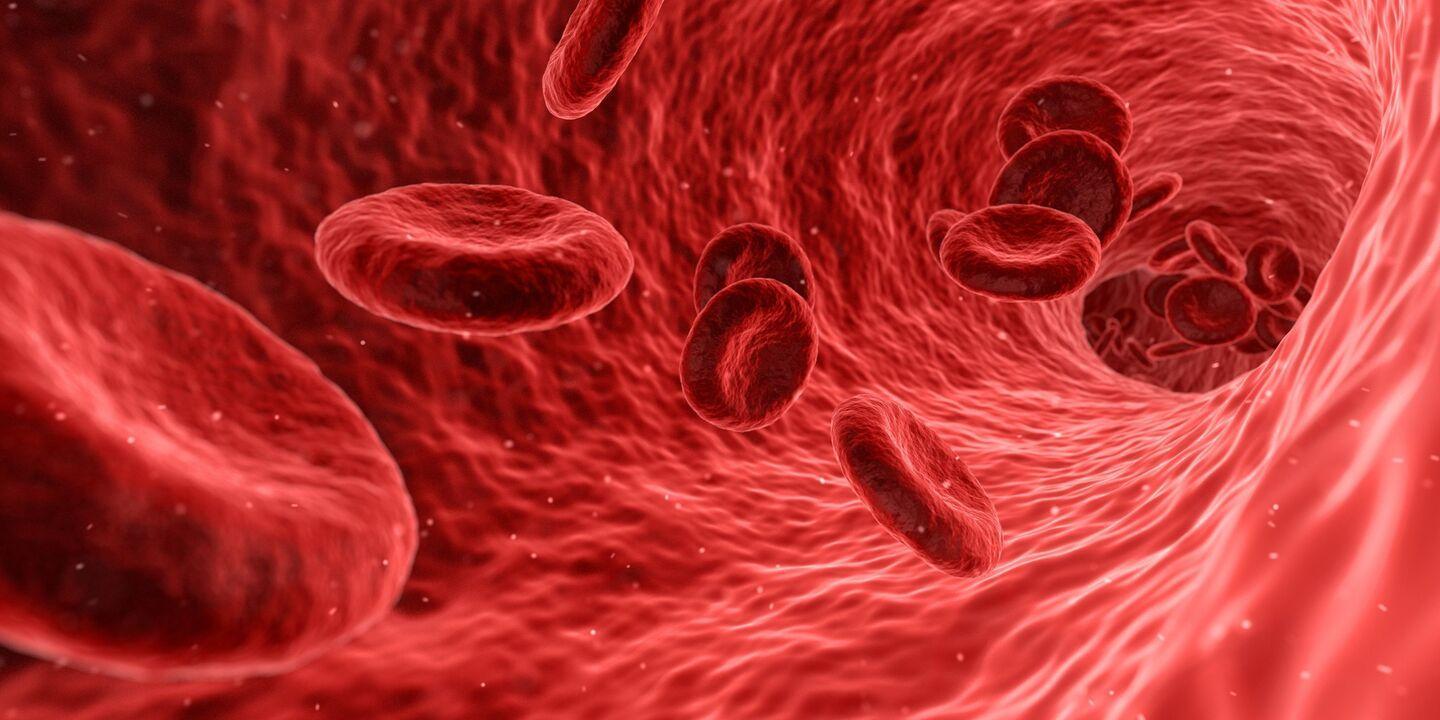 Russian Scientists Create Fast Blood Cancer Detection Method Russian Scientists Create Fast Blood Cancer Detection Method