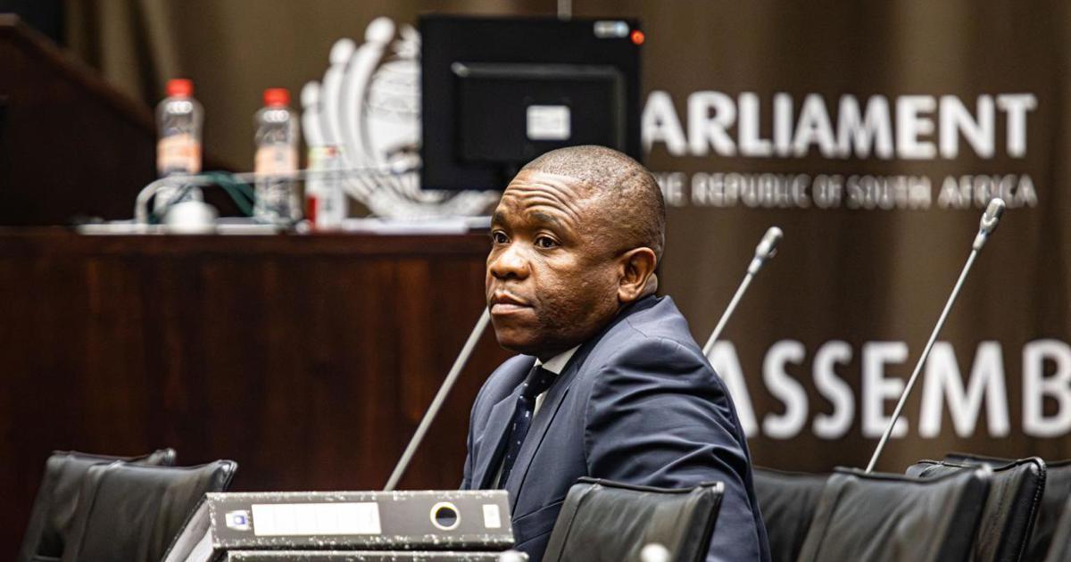 Ad Hoc Committee Seeks Mkhwanazi's Return on Retraction Ad Hoc Committee Seeks Mkhwanazi's Return on Retraction