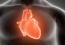 Russian Researchers Uncover Heart Attack Prevention Innovation Russian Researchers Uncover Heart Attack Prevention Innovation