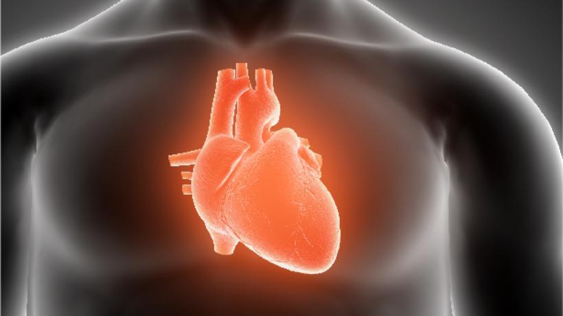 Russian Researchers Uncover Heart Attack Prevention Innovation Russian Researchers Uncover Heart Attack Prevention Innovation
