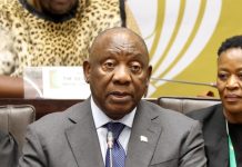 What is the role of traditional leaders in SA in 2025? What is the role of traditional leaders in SA in 2025?