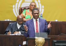 Mashatile Urges Municipalities to Improve Power Access Mashatile Urges Municipalities to Improve Power Access