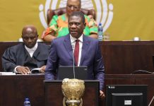 Mashatile: Fighting crime should not be politicised Mashatile: Fighting crime should not be politicised