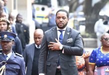 DPWI Seeks Partnership with King Misuzulu Against Mafia DPWI Seeks Partnership with King Misuzulu Against Mafia