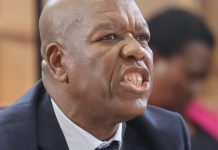 Mbotho Addresses Madlanga Commission on Interference Claims Mbotho Addresses Madlanga Commission on Interference Claims