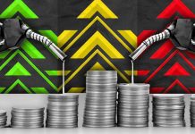 Big Petrol Price Cuts for South African Motorists Big Petrol Price Cuts for South African Motorists