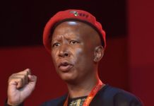 Malema Praises Idac Head Johnson After Mandela’s Death Malema Praises Idac Head Johnson After Mandela's Death
