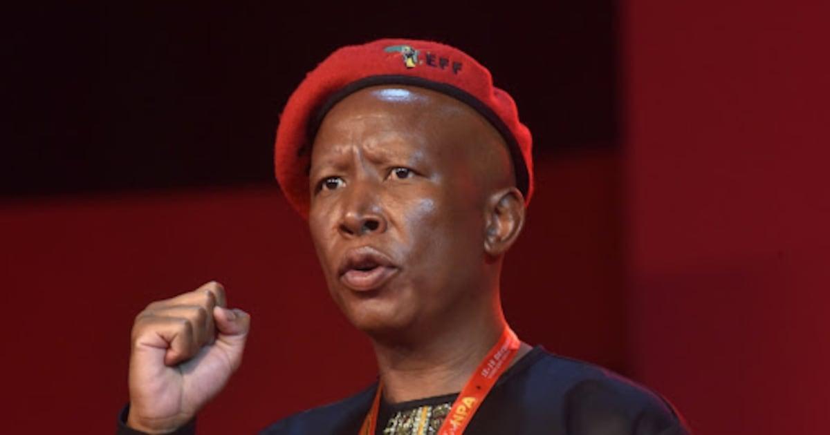 Malema Praises Idac Head Johnson After Mandela's Death Malema Praises Idac Head Johnson After Mandela's Death