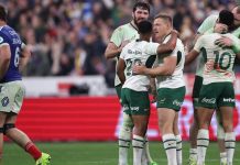 Fourteen-man Springboks fight back to beat France Fourteen-man Springboks fight back to beat France