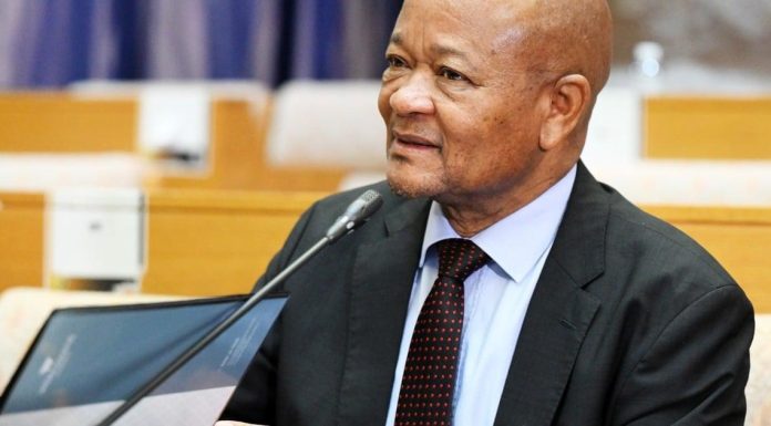 ANC Allows Mchunu to Step Back Amid Matlala Claims ANC Allows Mchunu to Step Back Amid Matlala Claims