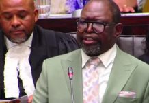 Godongwana Lowers Inflation Target to Aid Poor Households Godongwana Lowers Inflation Target to Aid Poor Households