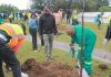 Joburg Residents and Officials Unite for Urban Forest Joburg Residents and Officials Unite for Urban Forest