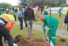 Joburg Residents and Officials Unite for Urban Forest Joburg Residents and Officials Unite for Urban Forest