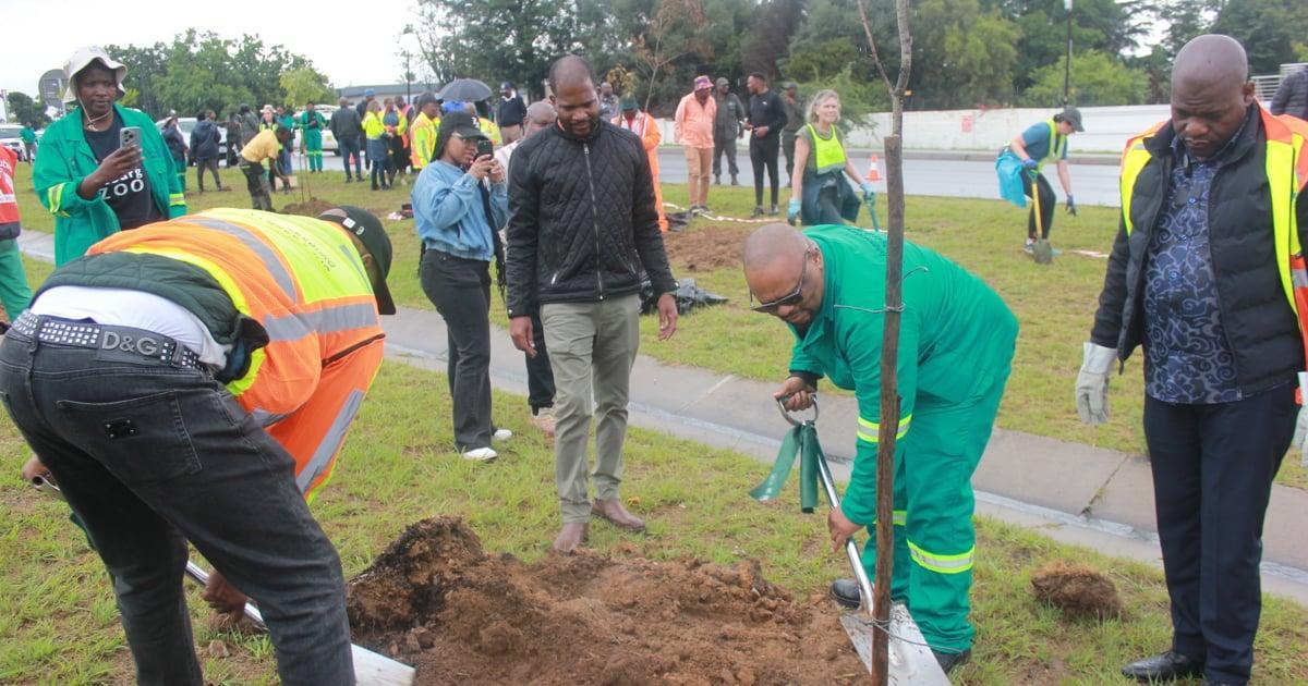 Joburg Residents and Officials Unite for Urban Forest Joburg Residents and Officials Unite for Urban Forest