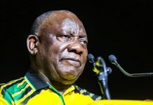 Mixed Feelings on Ramaphosa’s Potential Exit Mixed Feelings on Ramaphosa's Potential Exit