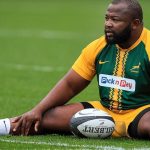 Springbok Trio and Bielle-Biarrey Nominated for Award Springbok Trio and Bielle-Biarrey Nominated for Award