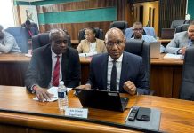 Chauke Enlists Legal Experts for Defense Strategy Chauke Enlists Legal Experts for Defense Strategy