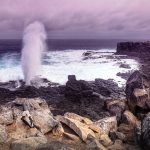 New Deep-Water Reefs Discovered Off Galápagos Islands New Deep-Water Reefs Discovered Off Galápagos Islands