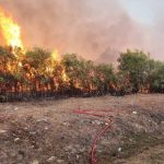 Fire crews monitoring fire between Hawston & Fisherhaven Fire crews monitoring fire between Hawston & Fisherhaven