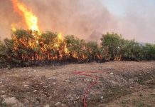 Fire crews monitoring fire between Hawston & Fisherhaven Fire crews monitoring fire between Hawston & Fisherhaven