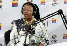 Gauteng MEC Calls G20 a Turning Point for Africa Gauteng MEC Calls G20 a Turning Point for Africa