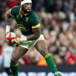 No complacency for Springboks against Wales, vows Kolisi No complacency for Springboks against Wales, vows Kolisi