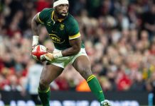 No complacency for Springboks against Wales, vows Kolisi No complacency for Springboks against Wales, vows Kolisi