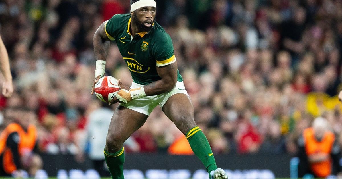 No complacency for Springboks against Wales, vows Kolisi No complacency for Springboks against Wales, vows Kolisi