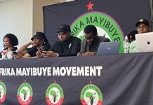 Afrika Mayibuye Movement Aims for 2029 Government Change Afrika Mayibuye Movement Aims for 2029 Government Change