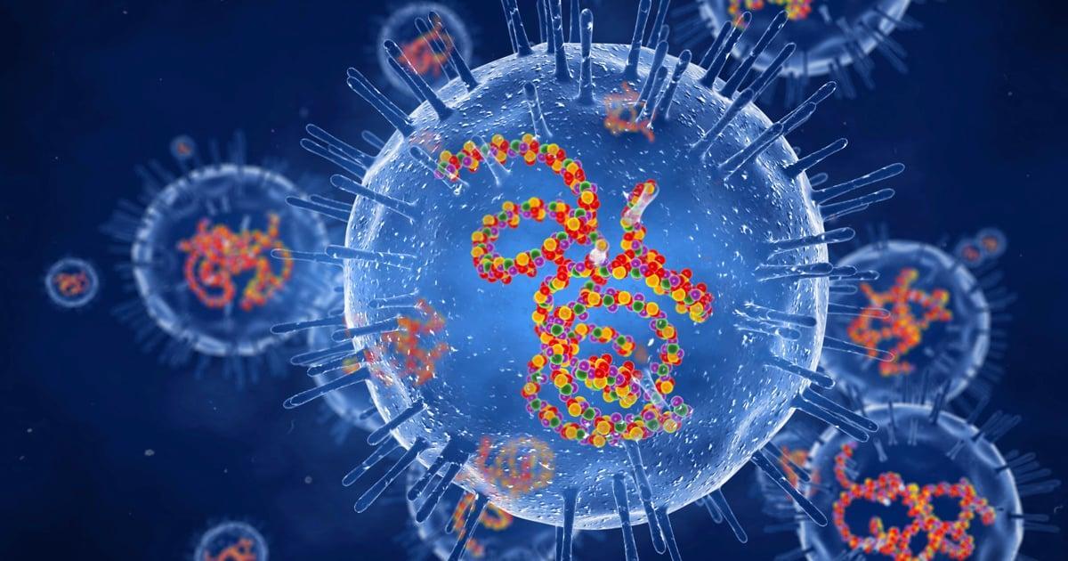 Health Officials Link Low Immunisation Rates to Outbreaks Health Officials Link Low Immunisation Rates to Outbreaks