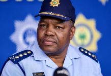 Investigation Into Bitou Deputy Mayor’s Festive Gunfire Investigation Into Bitou Deputy Mayor's Festive Gunfire