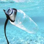 Japanese Scientists Develop Seawater-Dissolving Plastic Japanese Scientists Develop Seawater-Dissolving Plastic