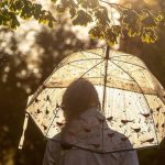 Thunderstorms and High Humidity Continue into January Thunderstorms and High Humidity Continue into January