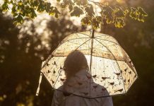 Thunderstorms and High Humidity Continue into January Thunderstorms and High Humidity Continue into January