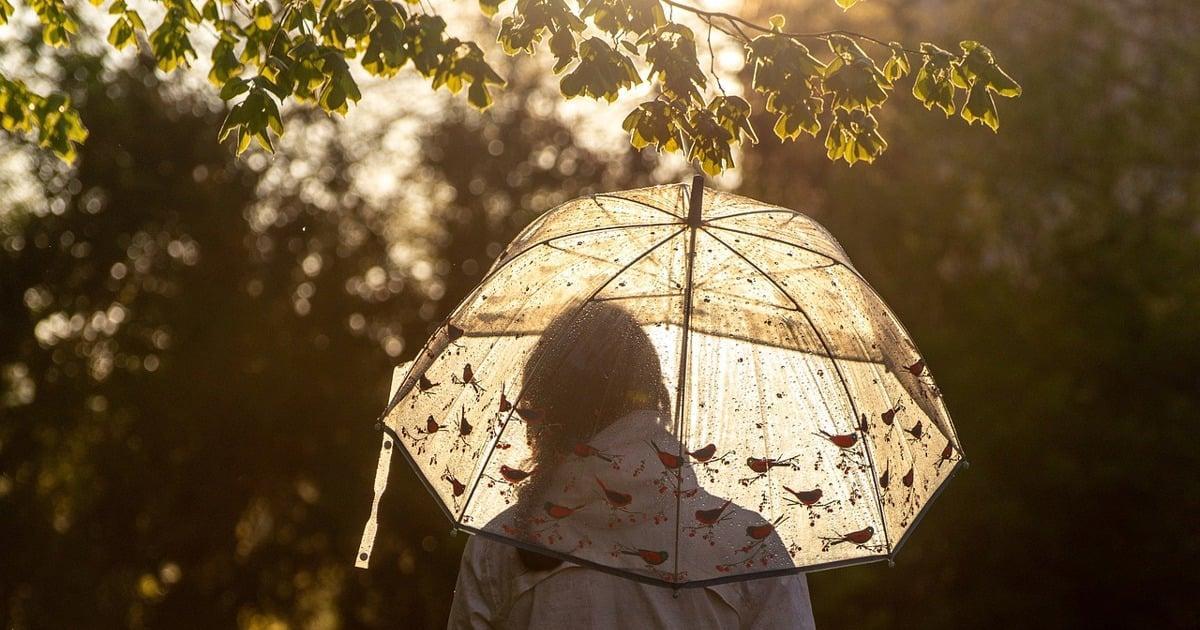 Thunderstorms and High Humidity Continue into January Thunderstorms and High Humidity Continue into January