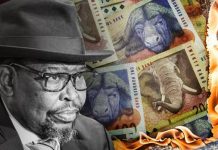 South Africa’s R5 trillion hole South Africa’s R5 trillion hole