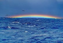 Passengers Offered Refund If Ship Disappears Passengers Offered Refund If Ship Disappears