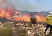 Cederberg Wildfire Firefighters Mop Up After 12 Days Cederberg Wildfire Firefighters Mop Up After 12 Days
