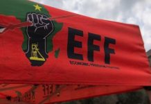 EFF Transforms Parliament Into Picket Line EFF Transforms Parliament Into Picket Line