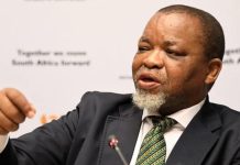 South Africa’s big BEE lie South Africa’s big BEE lie