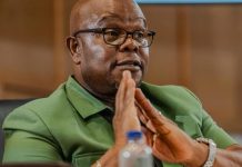 KZN Hawks Head Senona Removed From Office KZN Hawks Head Senona Removed From Office